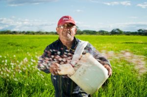Hilfskraft Landwirtschaft