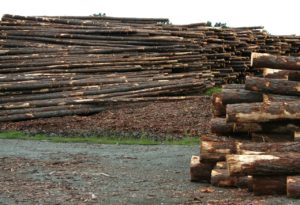 Produktionshelfer Holz