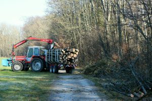 Helfer Forstwirtschaft
