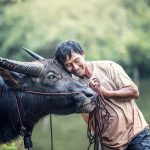 Personalvermittlung landwirtschaftliche Mitarbeiter