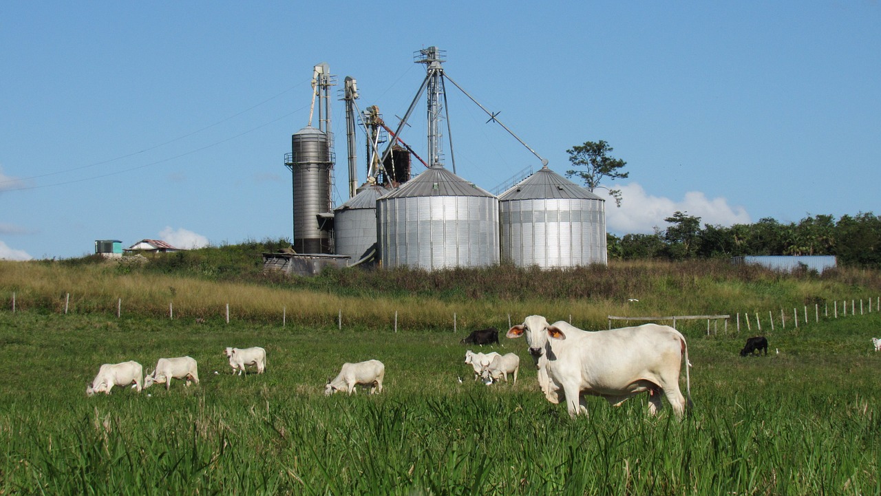 Personalvermittlung Landwirtschaft gesucht - Rumaenien Job